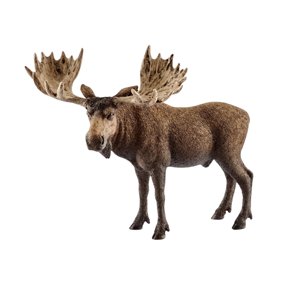 Schleich Moose