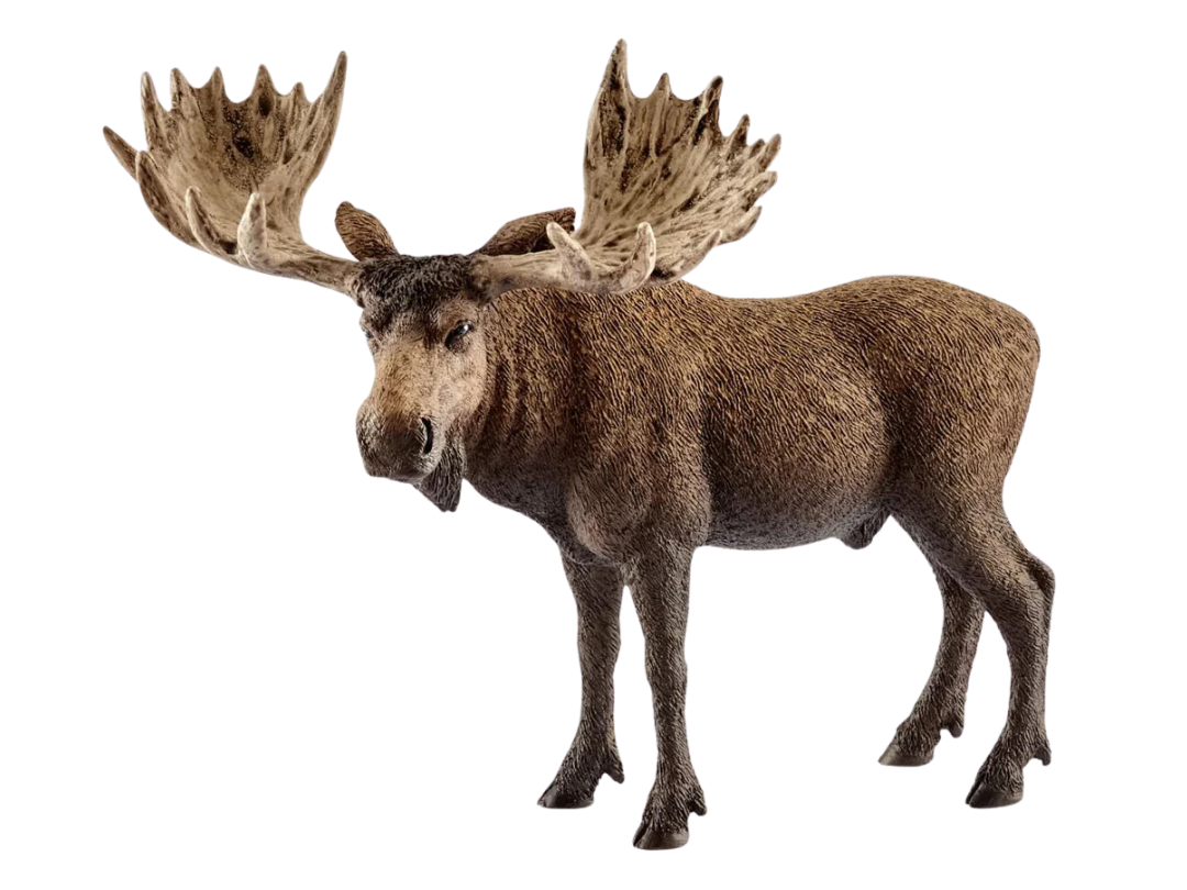 Schleich Moose