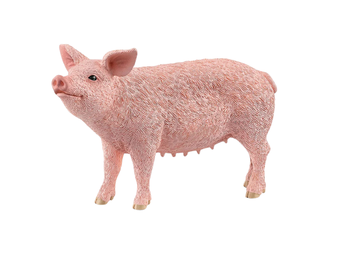 Schleich Pig