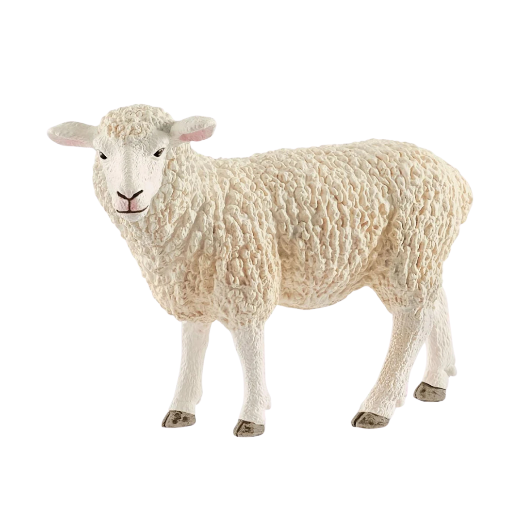 Schleich Sheep