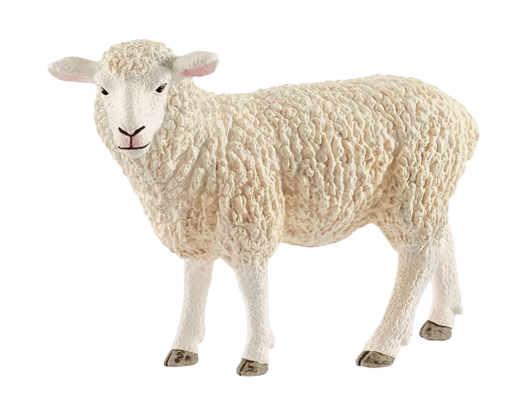 Schleich Sheep