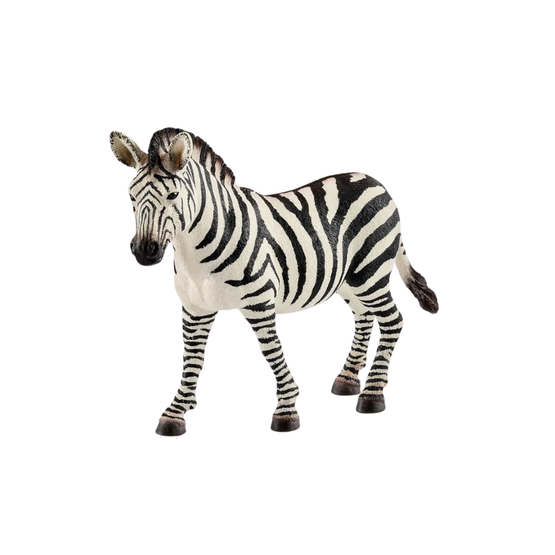 Schleich Zebra
