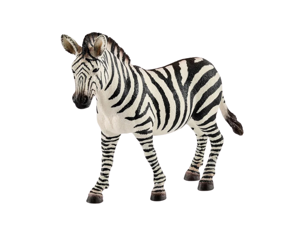 Schleich Zebra