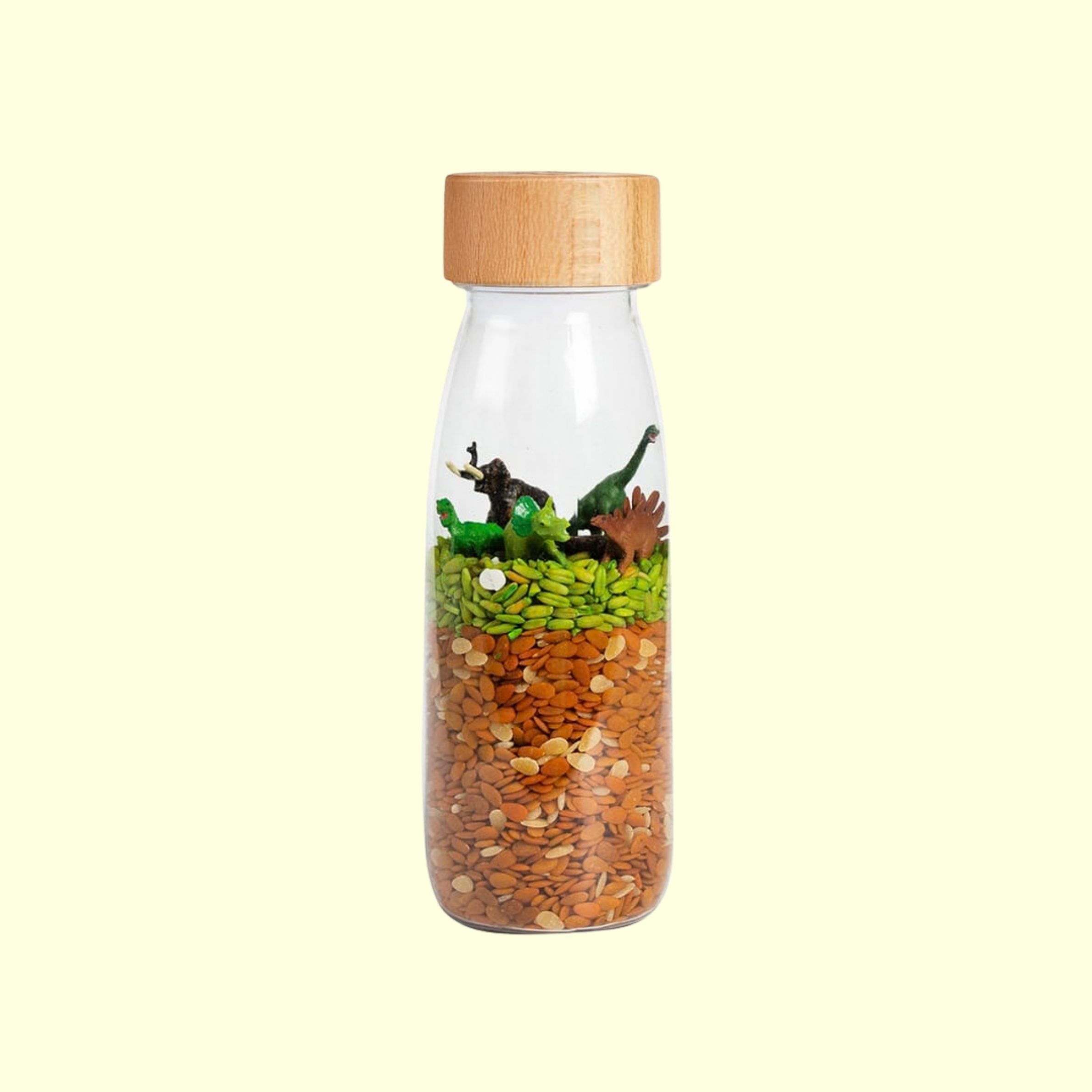 Petit Boum Sensory Spy Bottle - Jurassic
