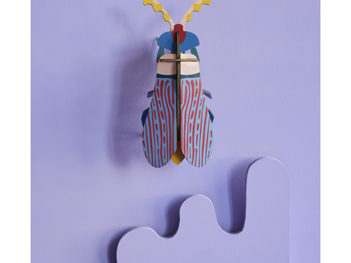 Studio Roof Striped Wing Beetle