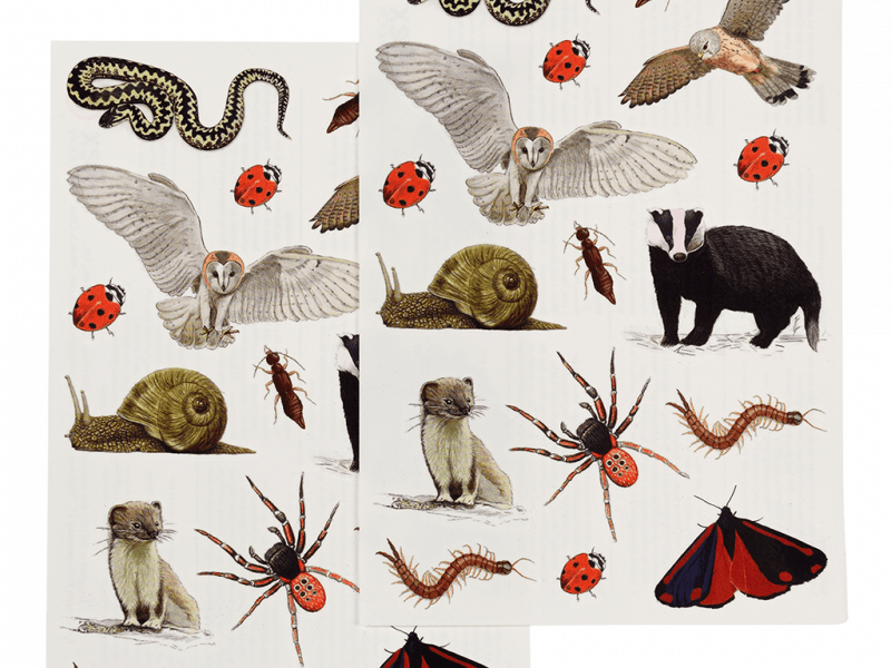 Rex London Temporary Tattoos: Nature Trail