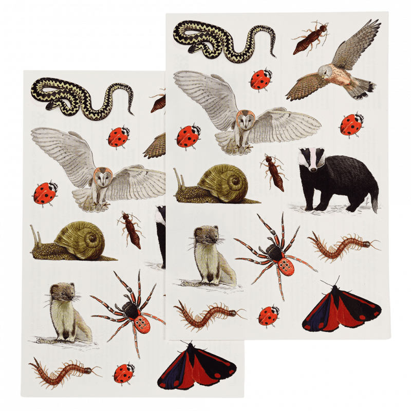 Rex London Temporary Tattoos: Nature Trail