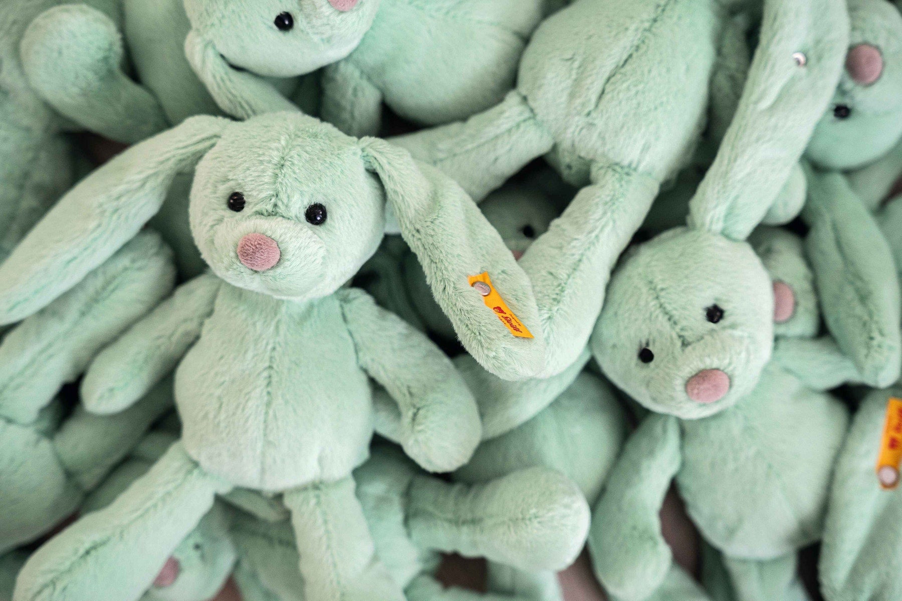 Steiff Tilda Rabbit in Green
