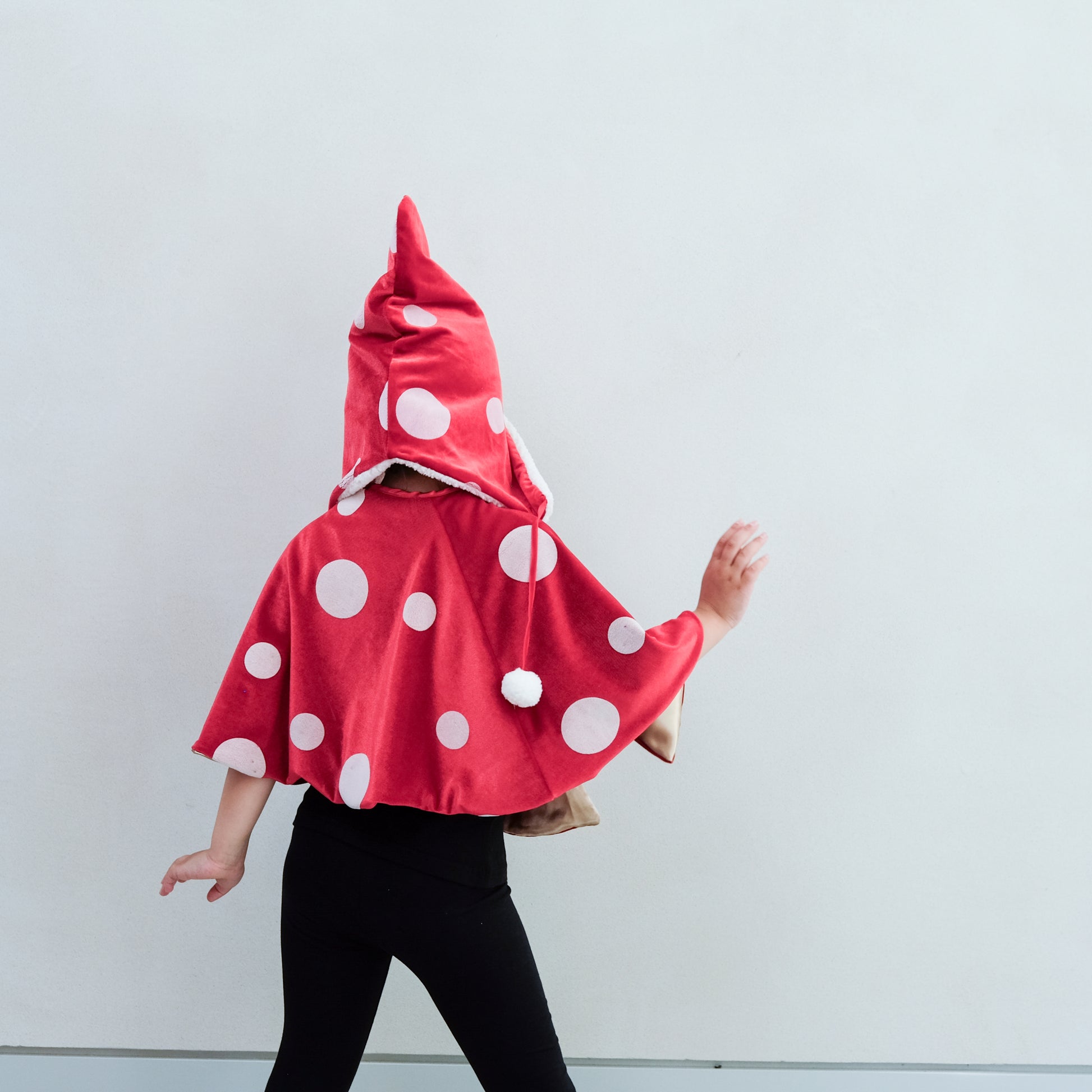 Toadstool Dress-Up Set