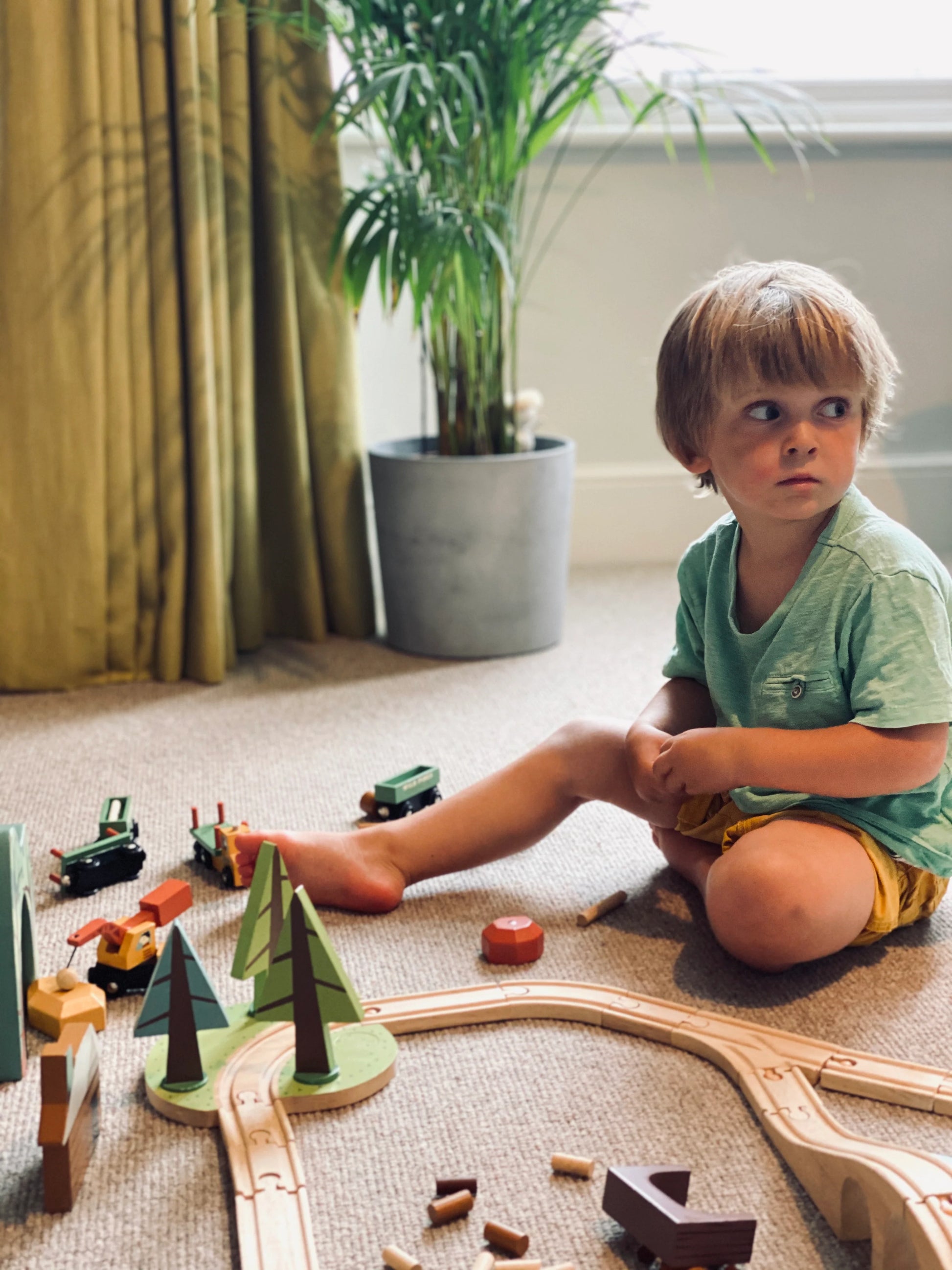 Tender Leaf Wild Pines Train Set