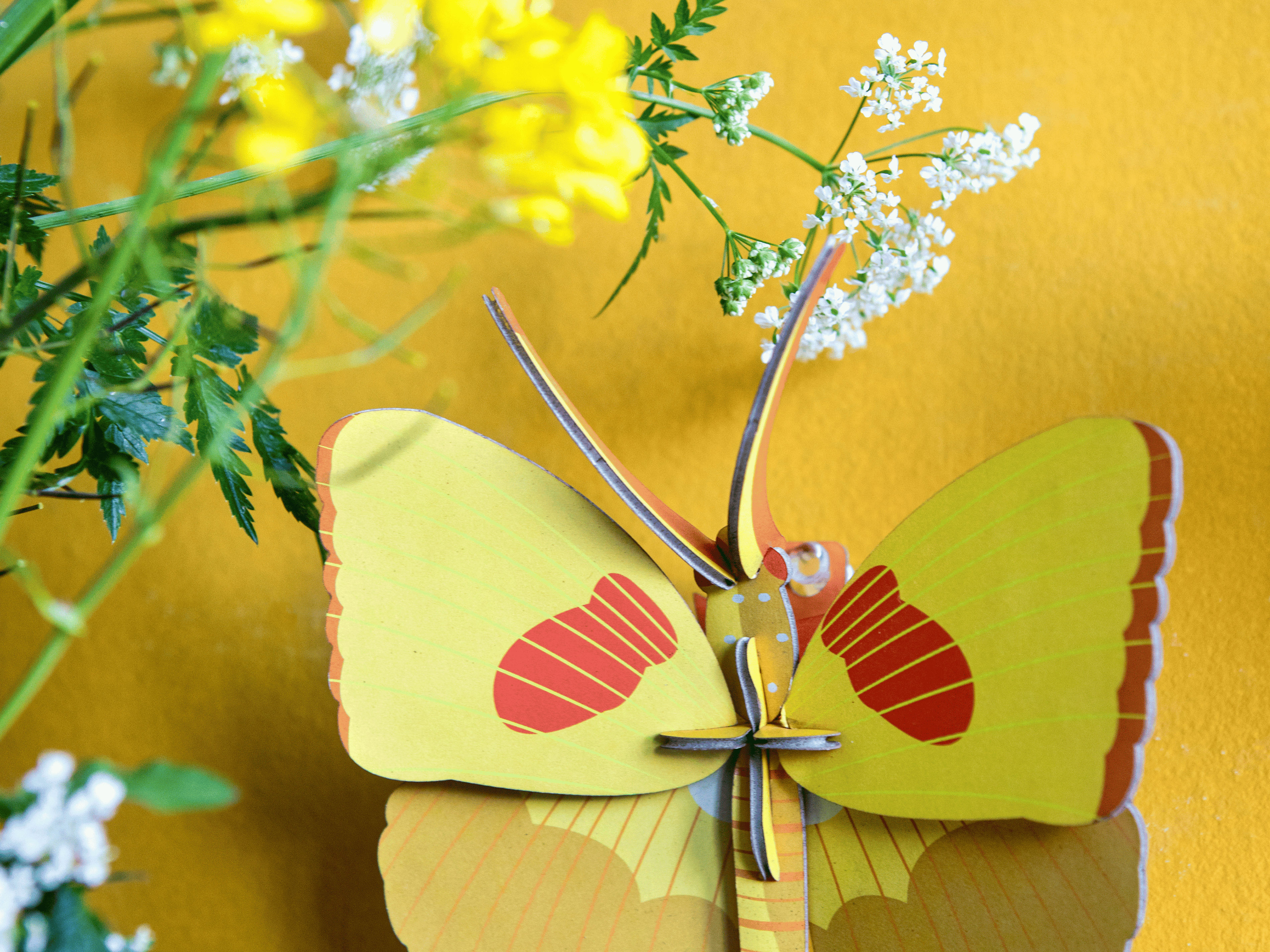 Studio Roof Yellow Butterfly