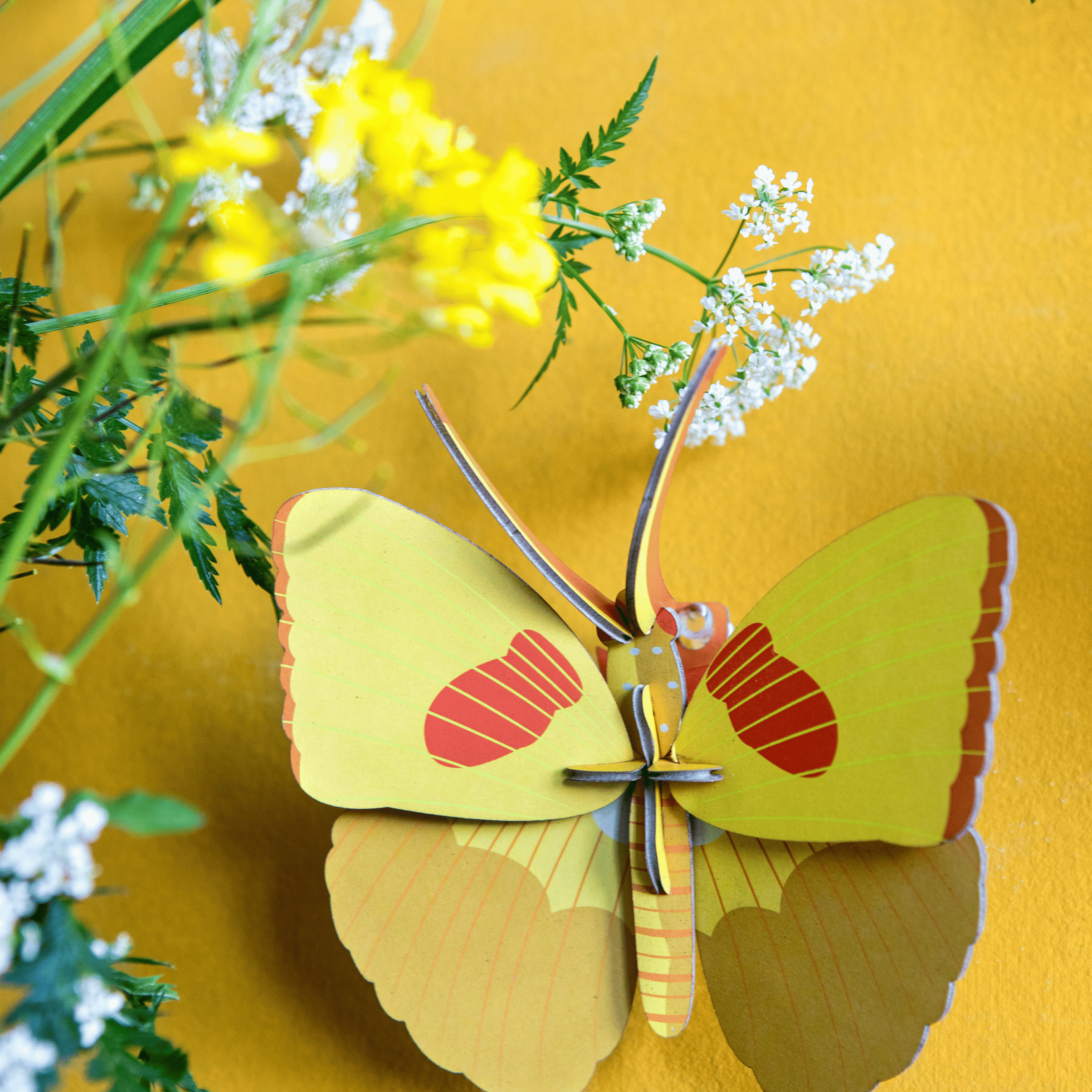 Studio Roof Yellow Butterfly