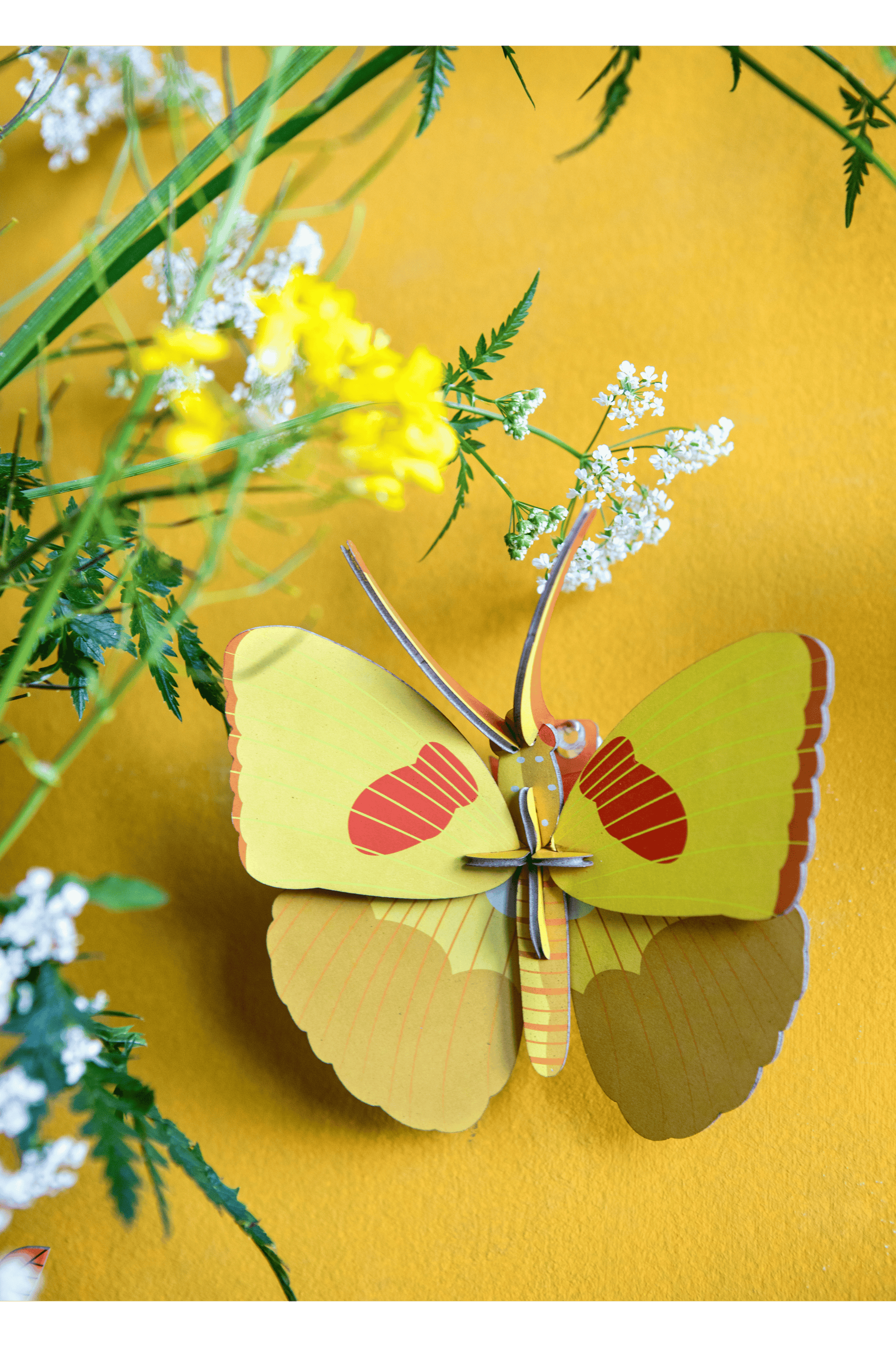 Studio Roof Yellow Butterfly