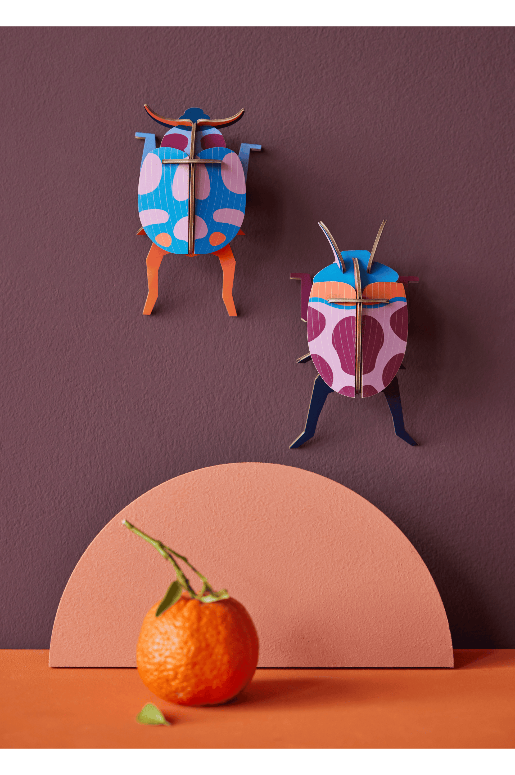 Studio Roof Coccinelle Couple Beetle