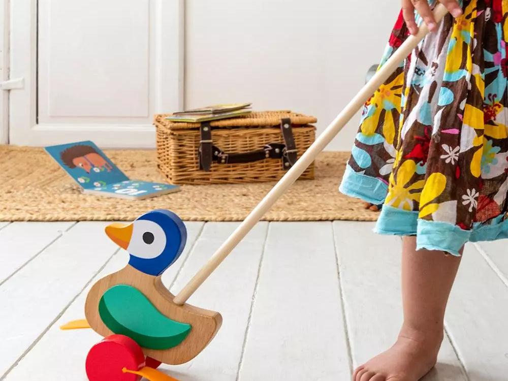 Rex London Push Along Flapping Duck