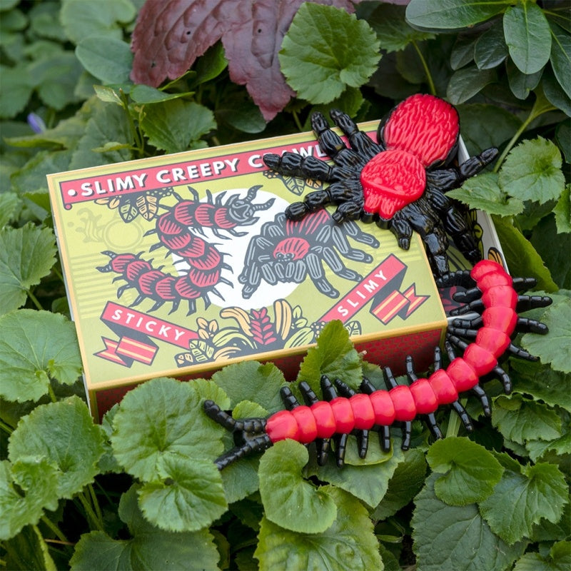 Rex London Slimy Creepy Crawlies in a Box