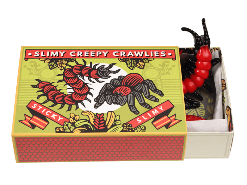 Rex London Slimy Creepy Crawlies in a Box