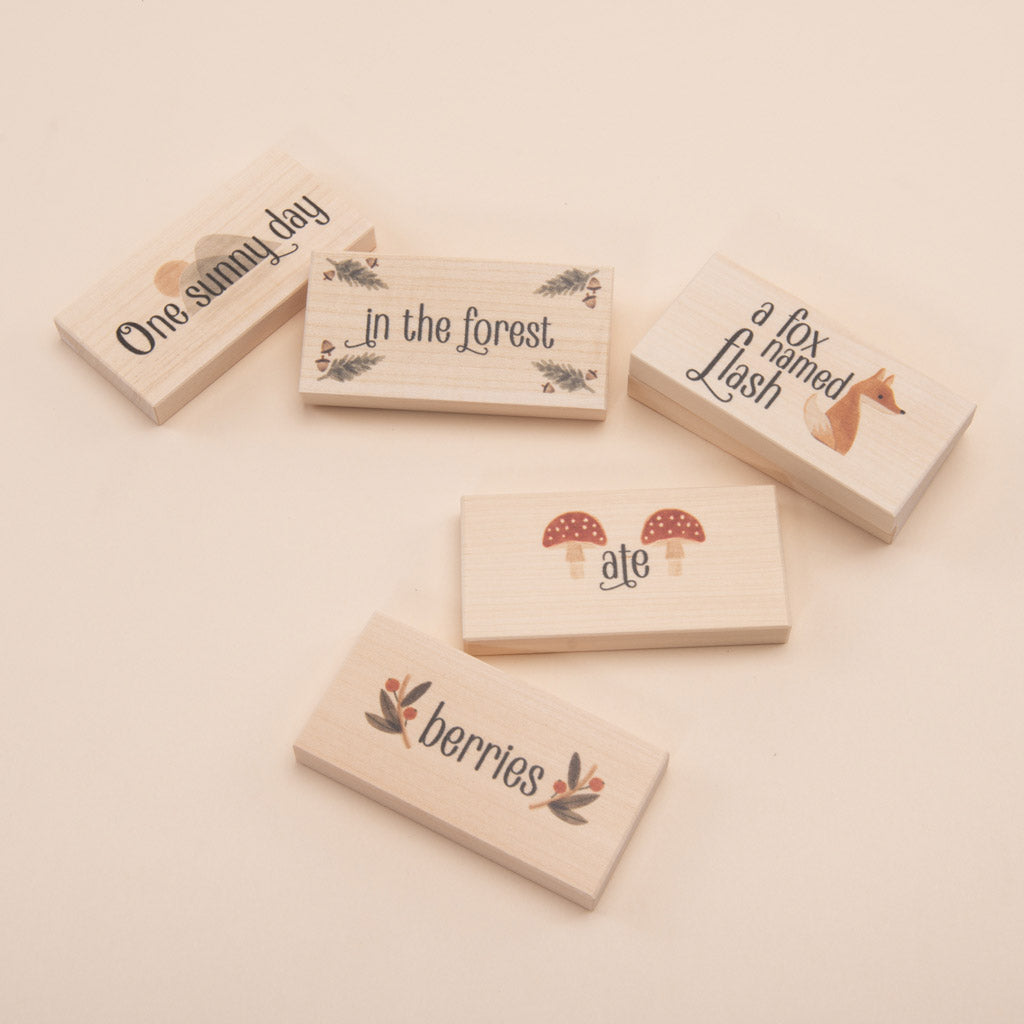 Storytelling Blocks- Forest Tales