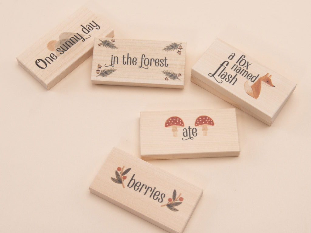 Storytelling Blocks- Forest Tales