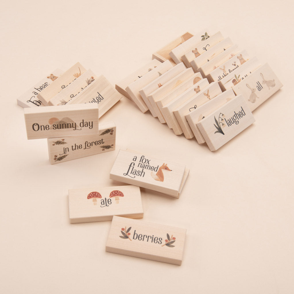 Storytelling Blocks- Forest Tales