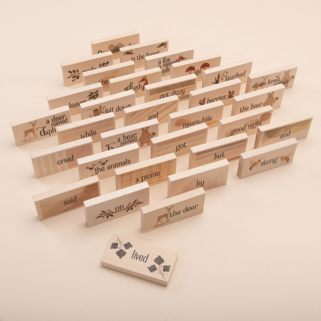 Storytelling Blocks- Forest Tales