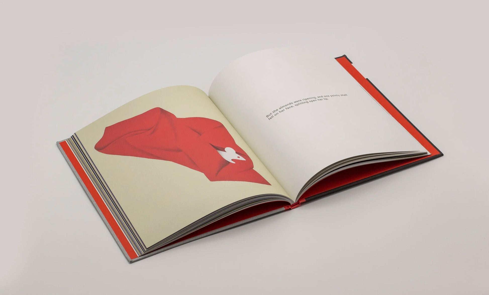 The True Story of a Mouse who Never Asked for It