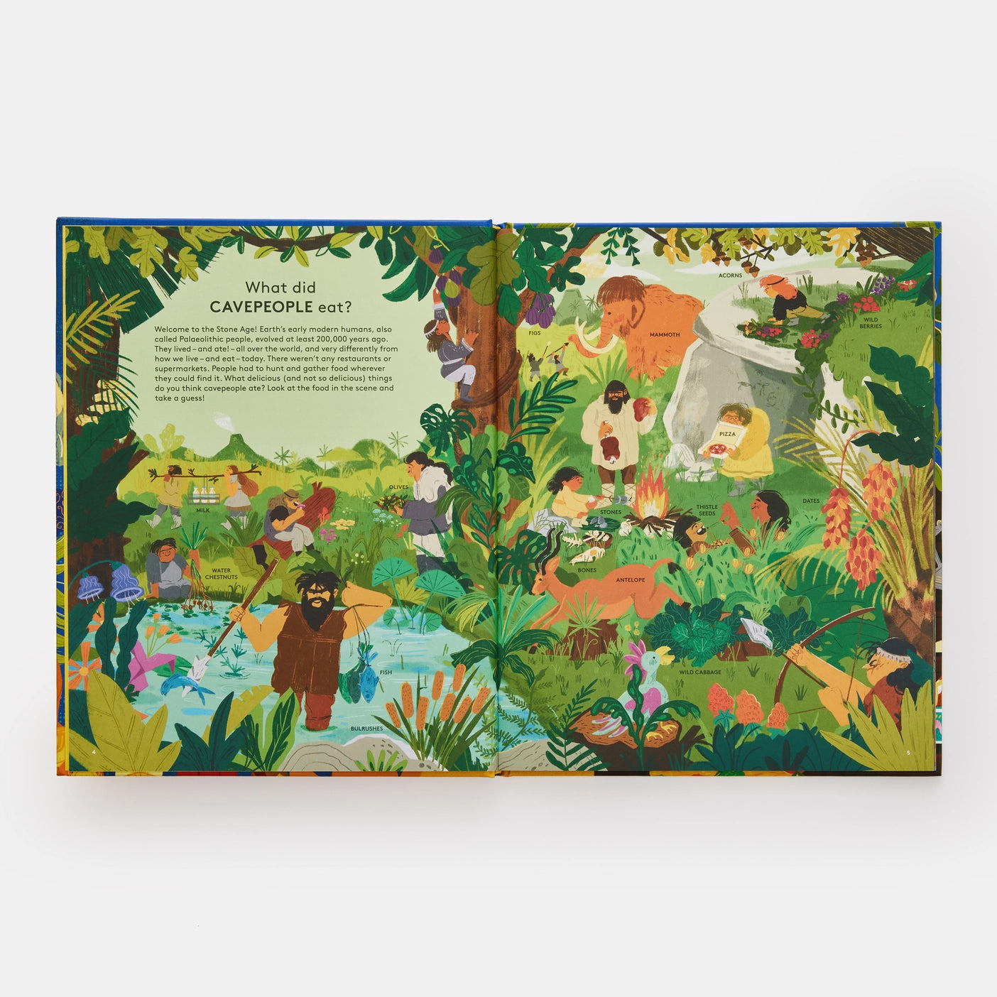 Who Ate What? - Phaidon Press