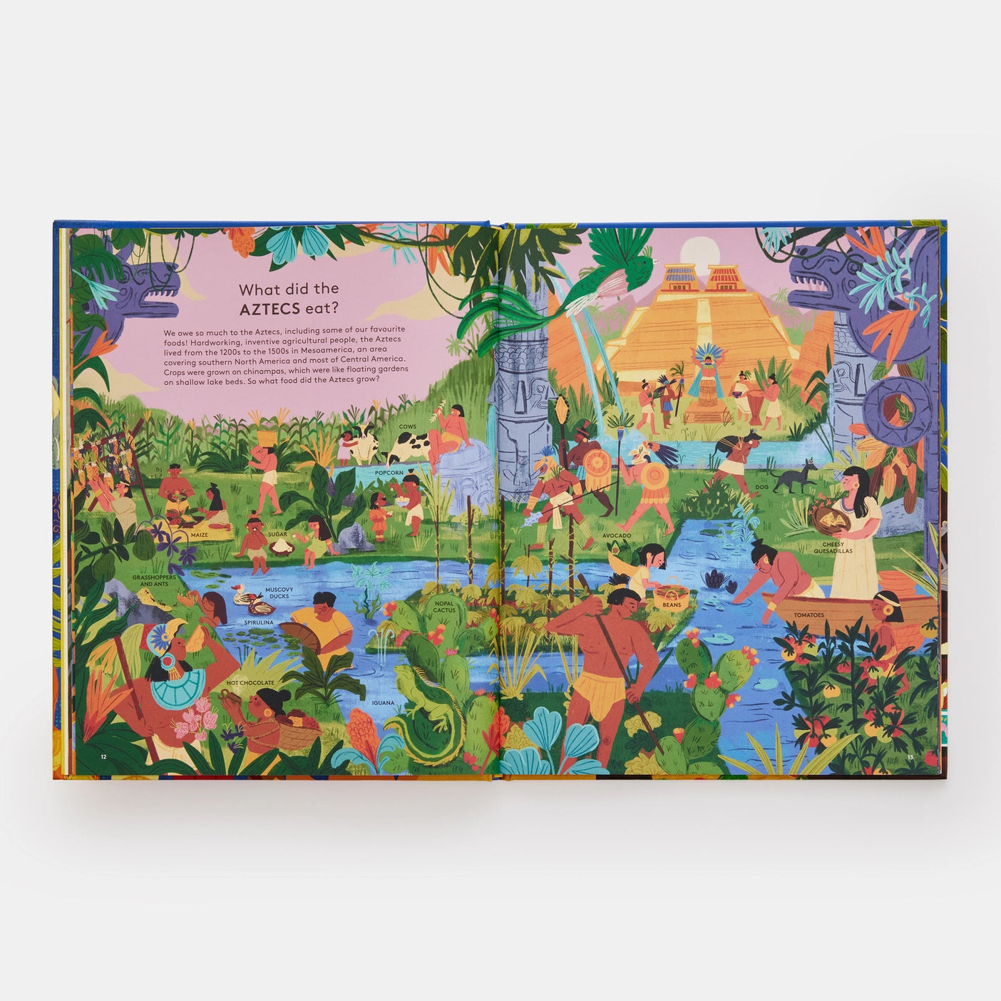 Who Ate What? - Phaidon Press