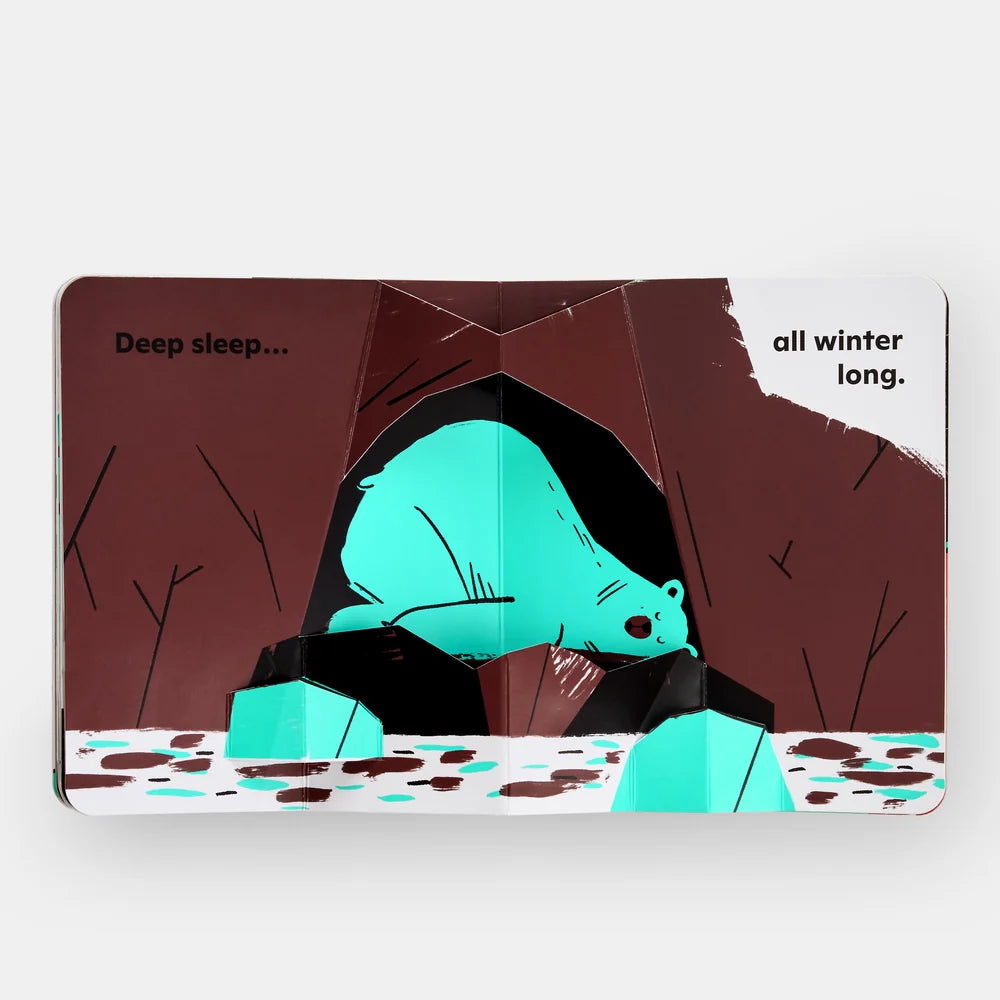 Winter Pops Up! - Aurore Petit